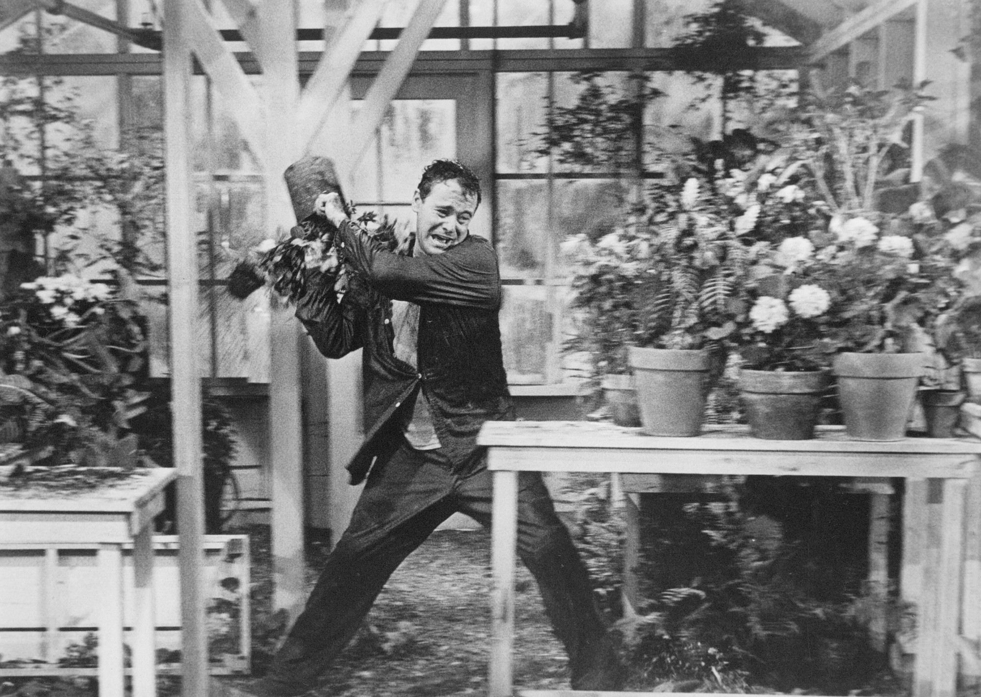 Days of Wine and Roses. 1962. Directed by Blake Edwards MoMA